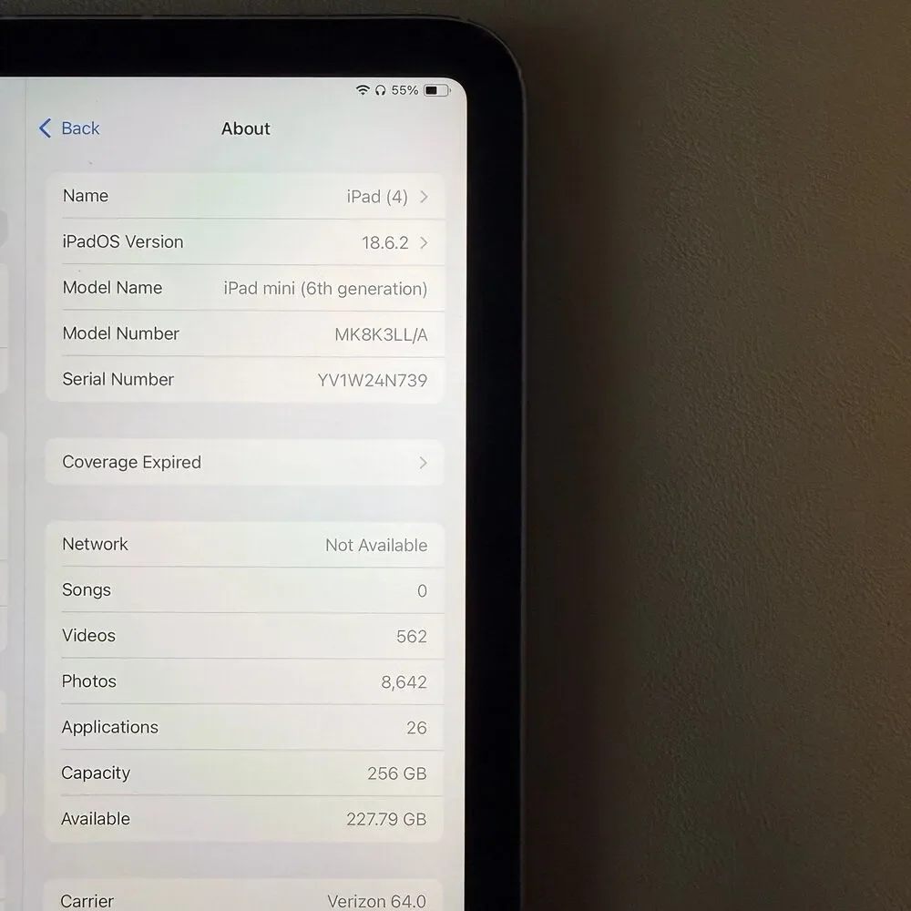 iPad mini 6th generation